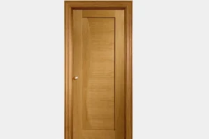 flush door